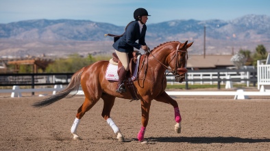 rancho equestrian district